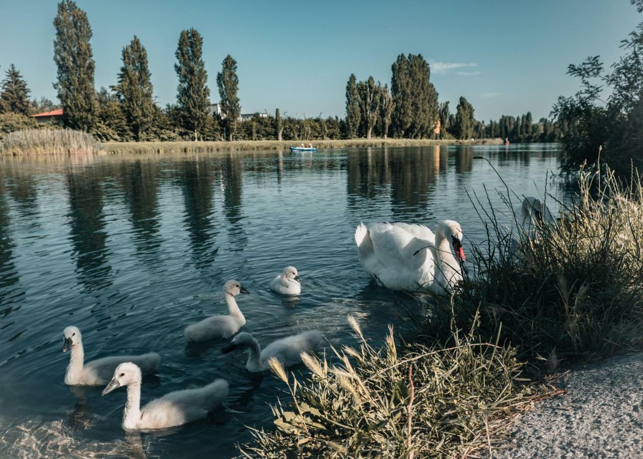 La Forgia Apartment Peschiera del Garda Dış mekan fotoğraf
